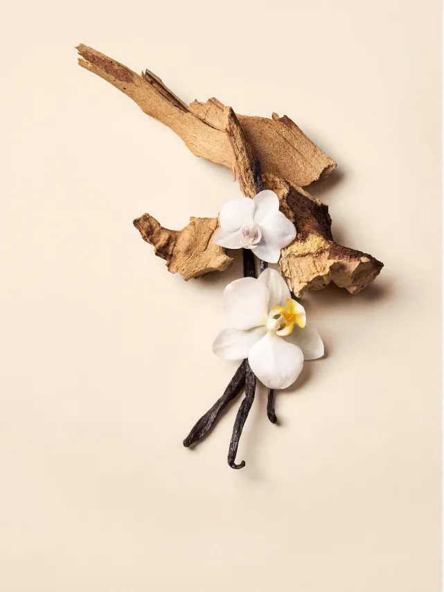 Спрей Вікторія Сікрет Bare Vanilla Vacation