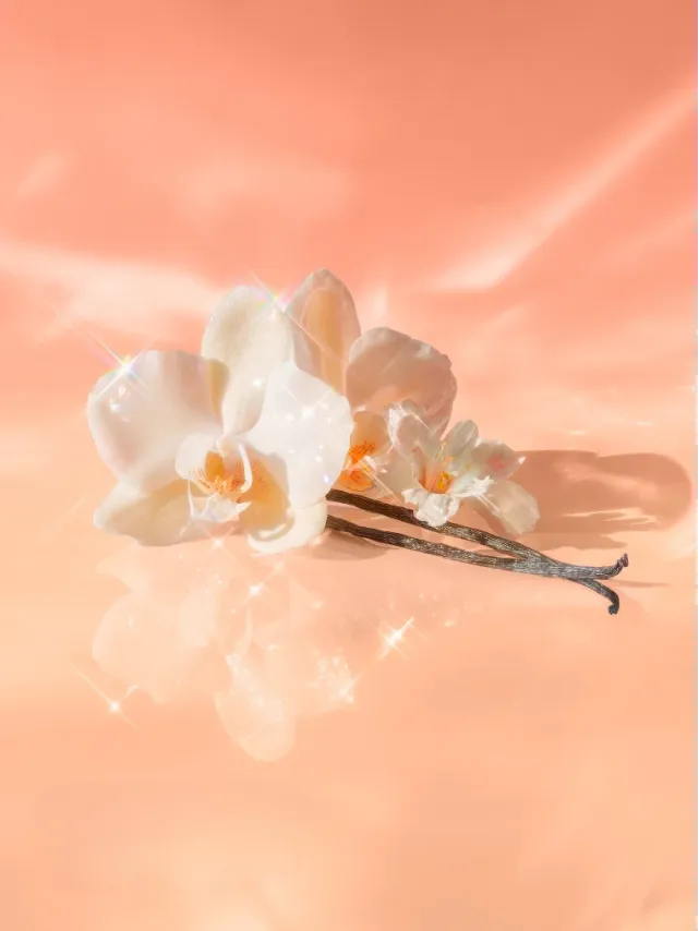 Спрей Вікторія Сікрет Bare Vanilla Joy Shimmer