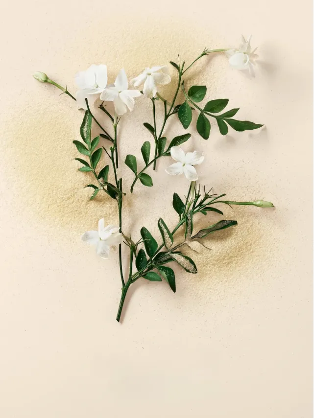 Спрей Вікторія Сікрет Love Spell Vacation