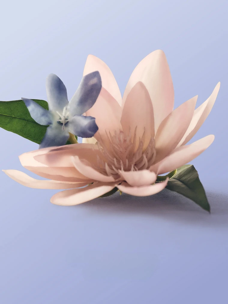 Спрей для тіла Blue Jasmine Water Lily Victoria's Secret купити