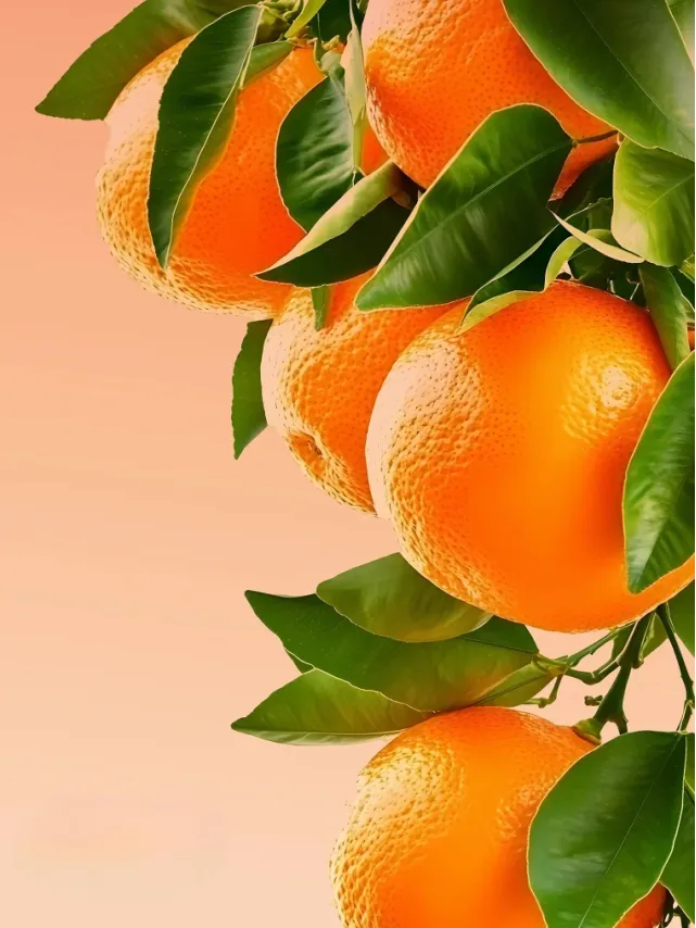 Спрей Виктория Сикрет Clementine Hibiscus