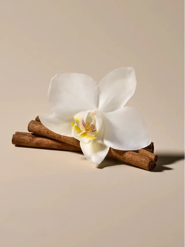 Лосьон Виктория Сикрет Spiced Vanilla Creme