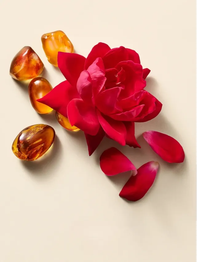 Гель для душу Вікторія Сікрет Wild Rose Amber