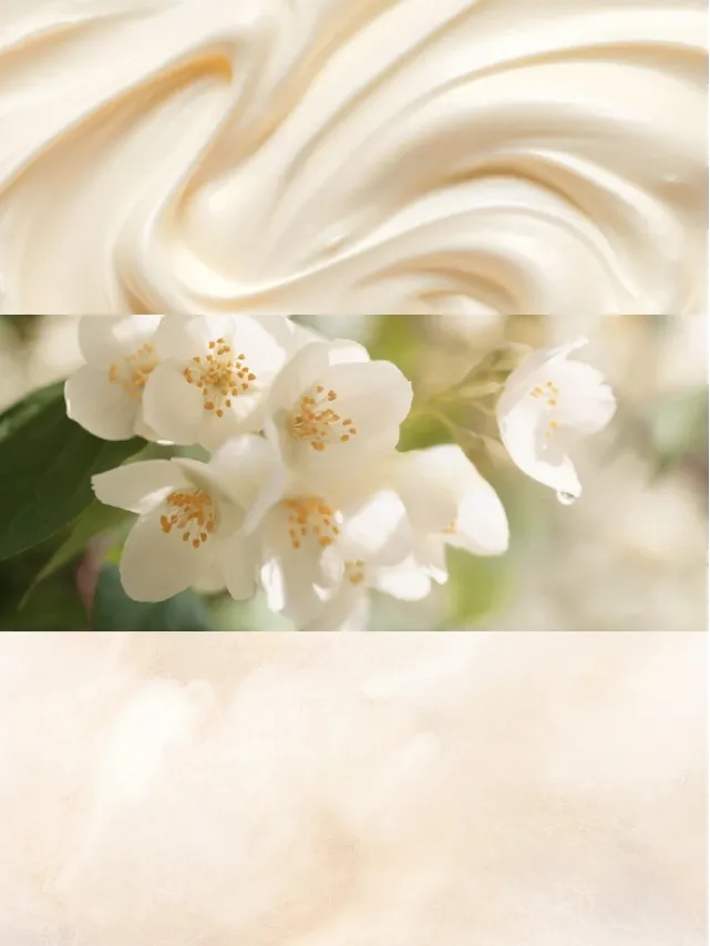 Лосьйон Вікторія Сікрет Darling Vanilla Jasmine