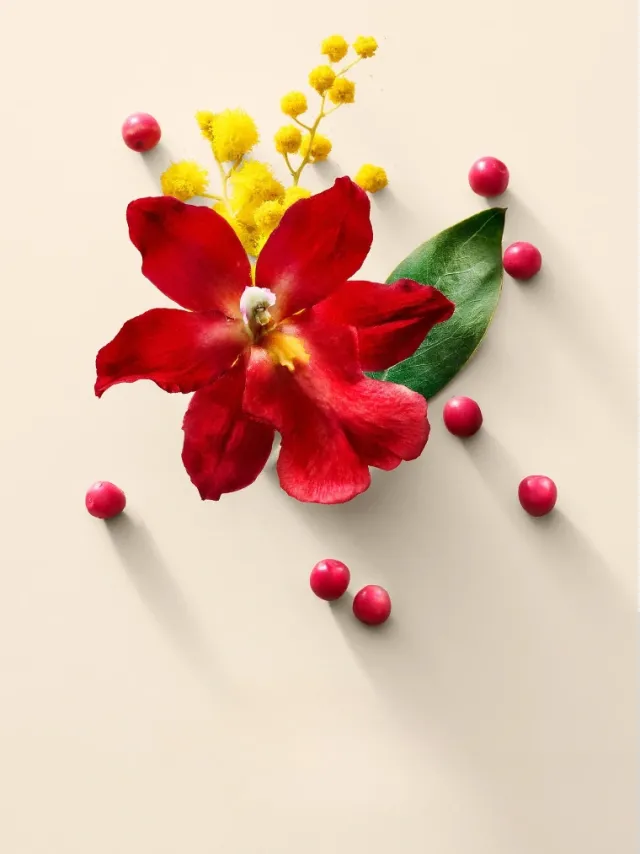 Духи Виктория Сикрет Very Sexy